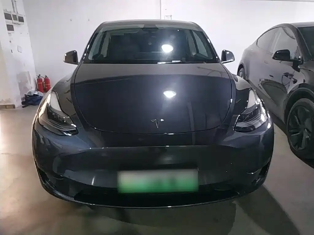 Tesla Model Y — миниатюра 3