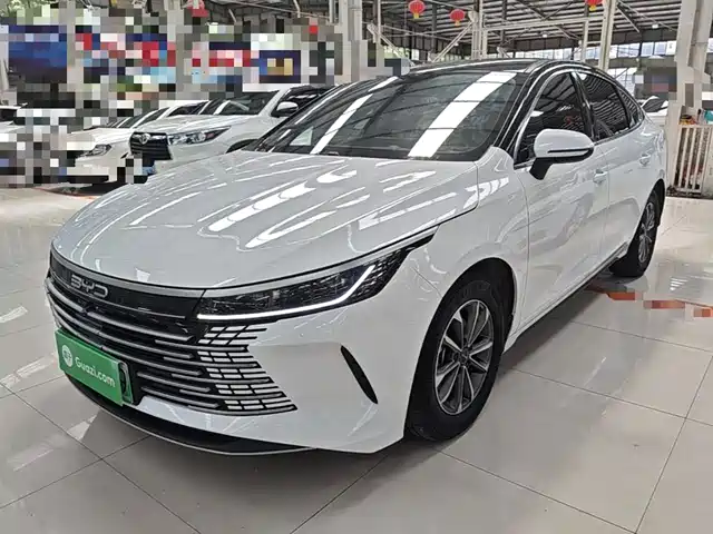 2024 BYD Destroyer