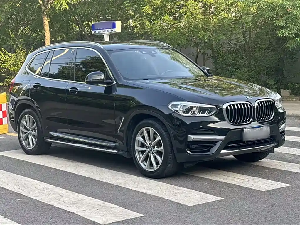 BMW X3 2019 xDrive25i Luxury