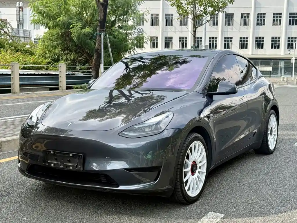 Tesla Model Y — миниатюра 3
