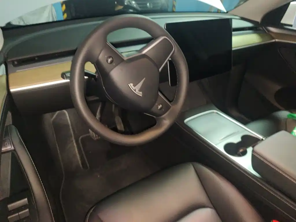 Tesla Model Y — миниатюра 3