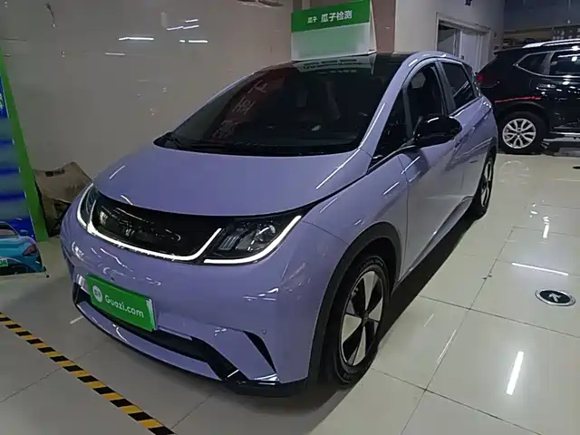 BYD Dolphin