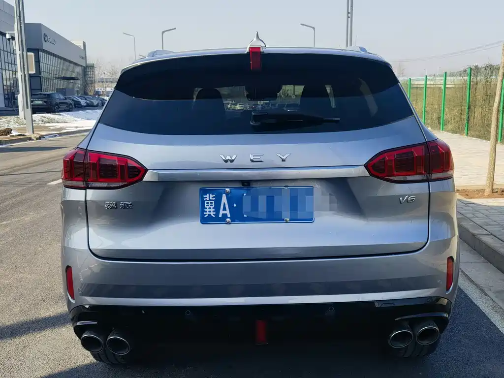 WEI PAI WEI BRAND VV6