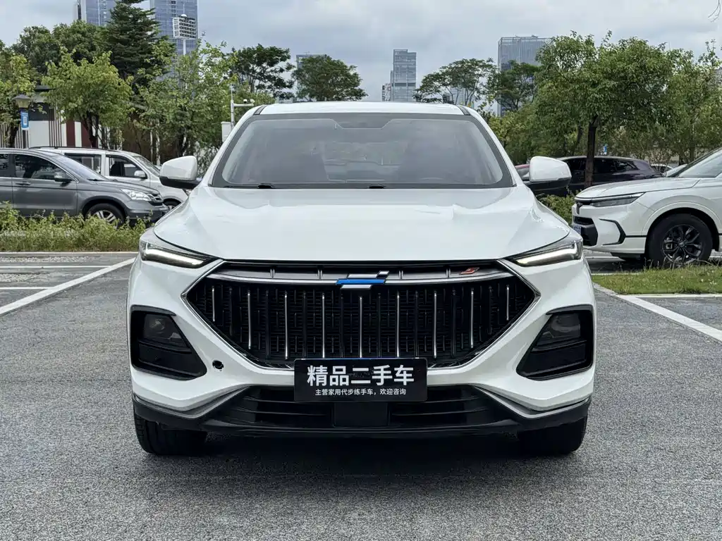 Oshan Oushang X5 — миниатюра 2