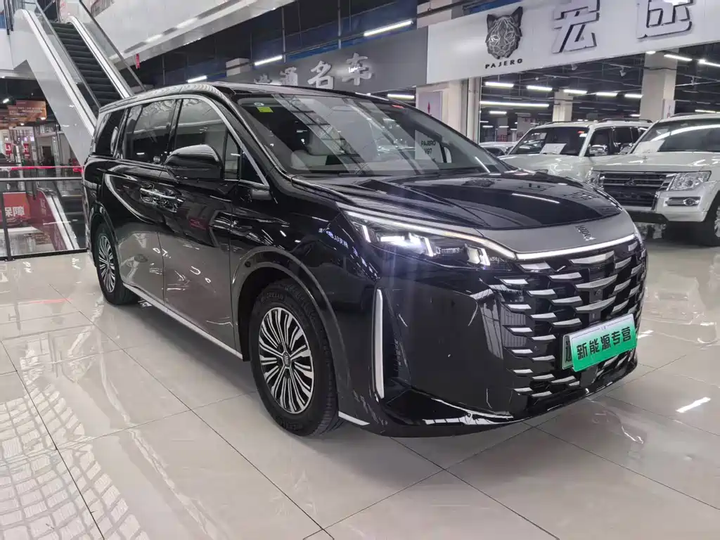BYD Xia — миниатюра 3