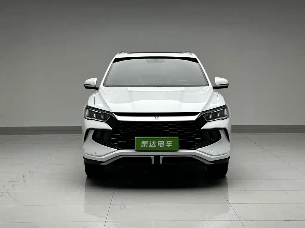 BYD Pro New Energy — миниатюра 2