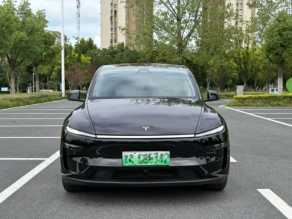 Tesla Model Y — миниатюра 2