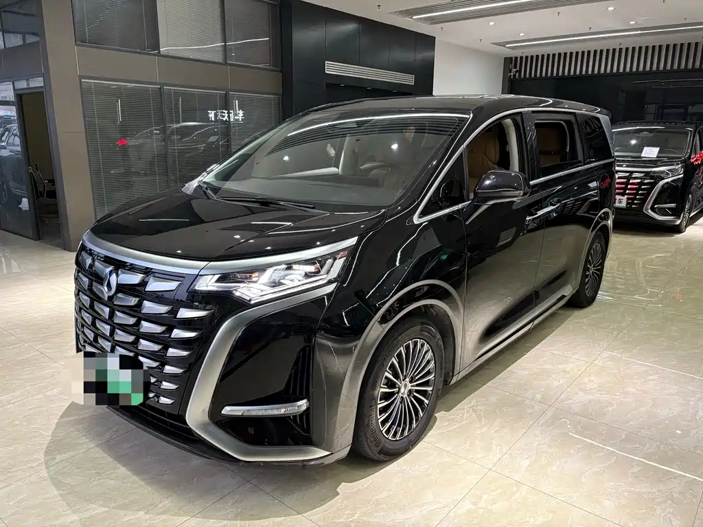 Denza Denza D9