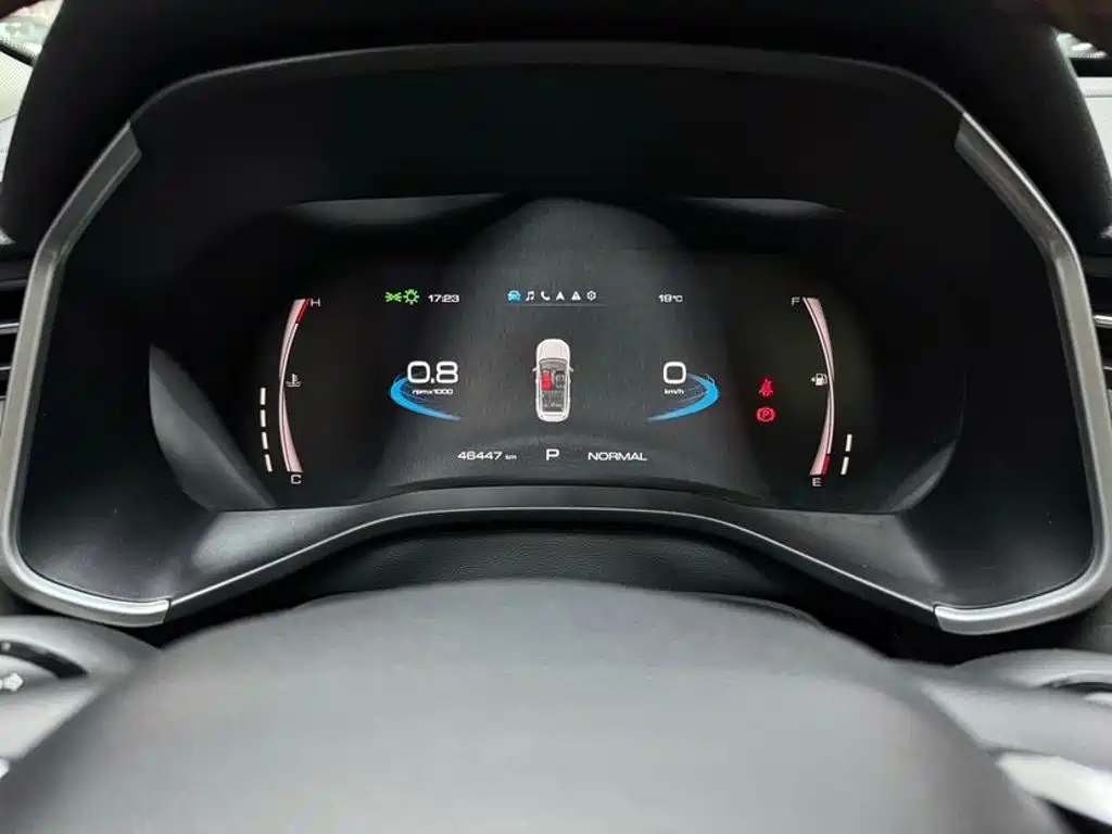 Haval Chitu — миниатюра 23