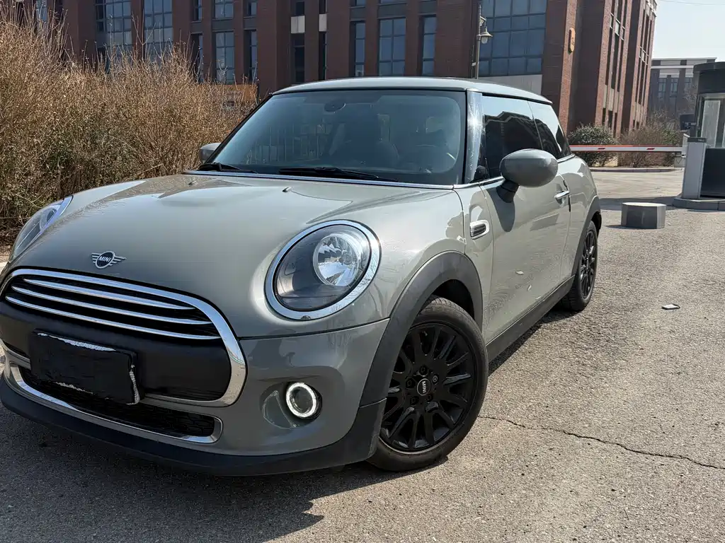 Mini Mini 2021