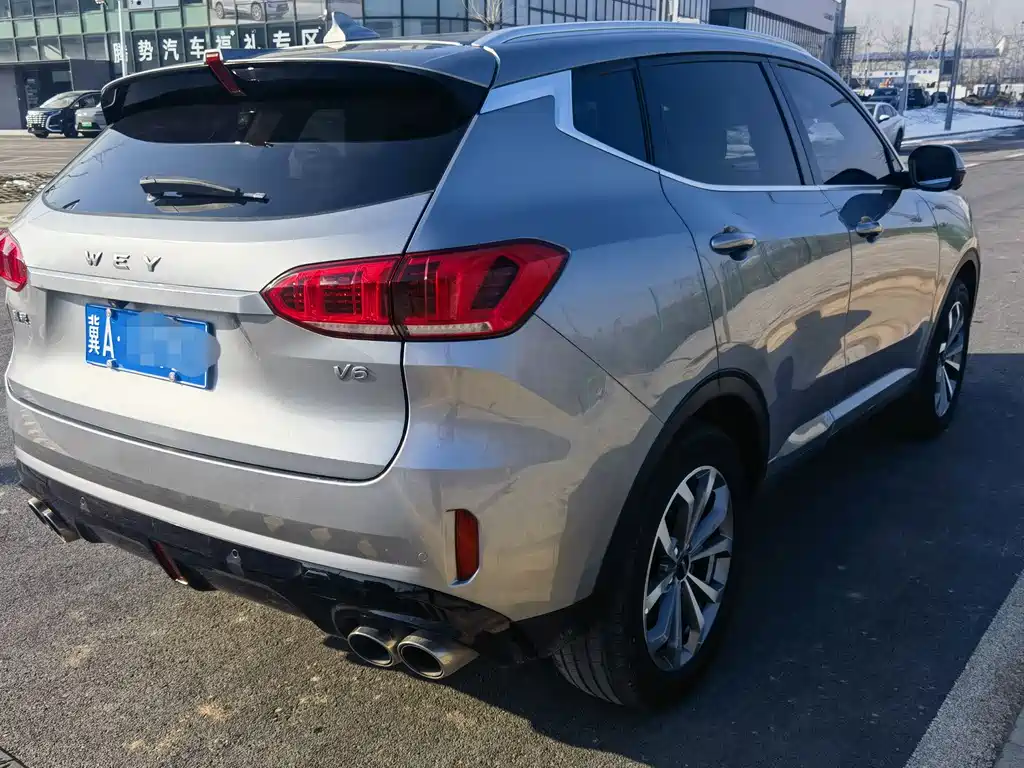 WEI PAI WEI BRAND VV6