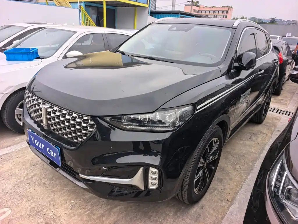 Wey Wey VV6