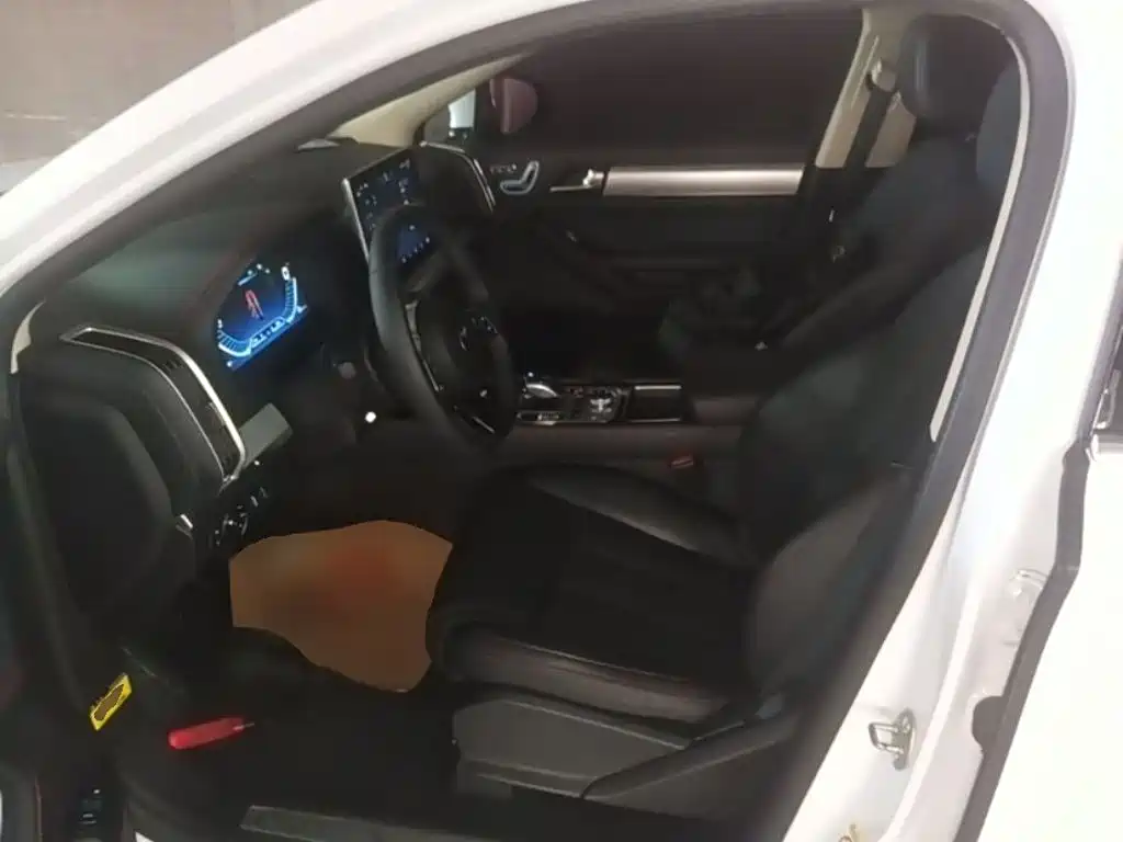 BYD Tang New Energy — миниатюра 15