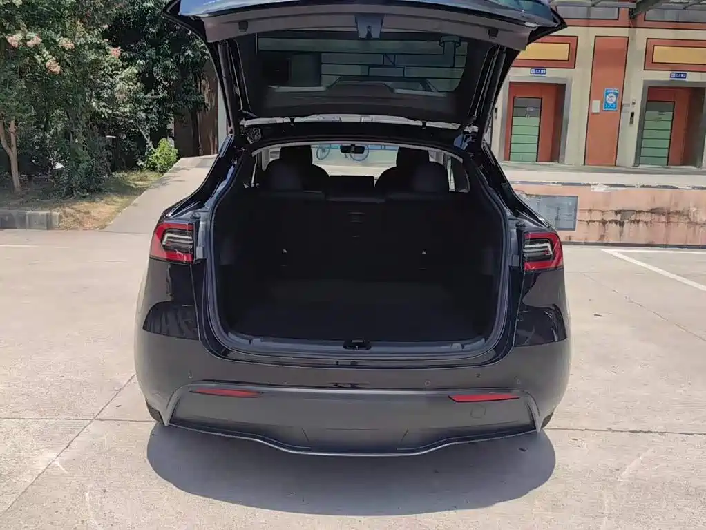 Tesla Model Y — миниатюра 12