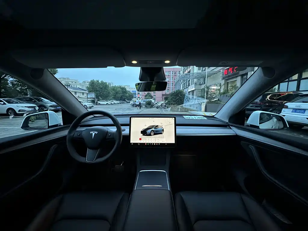 Tesla Model Y — миниатюра 7