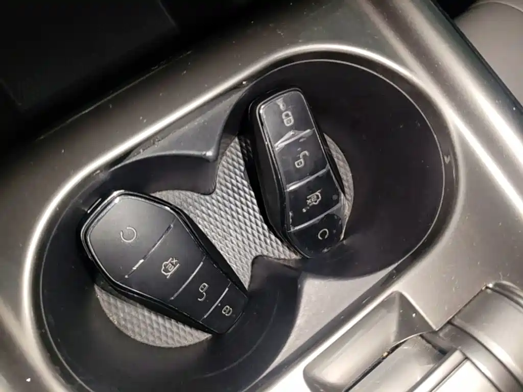 BYD Dolphin 2021 405km Fashion