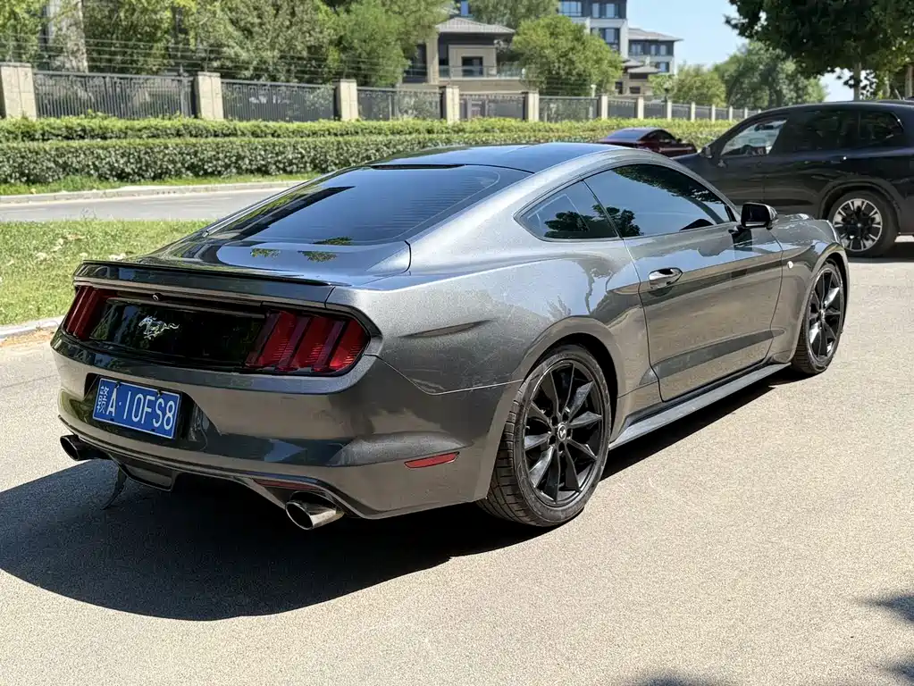 Ford Mustang — миниатюра 7