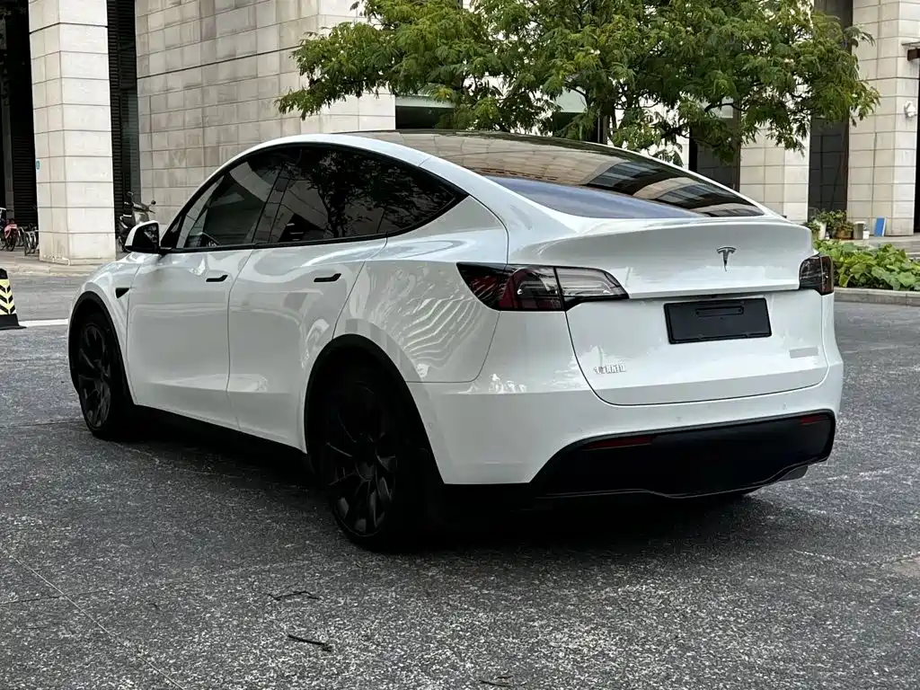 Tesla Model Y — миниатюра 17