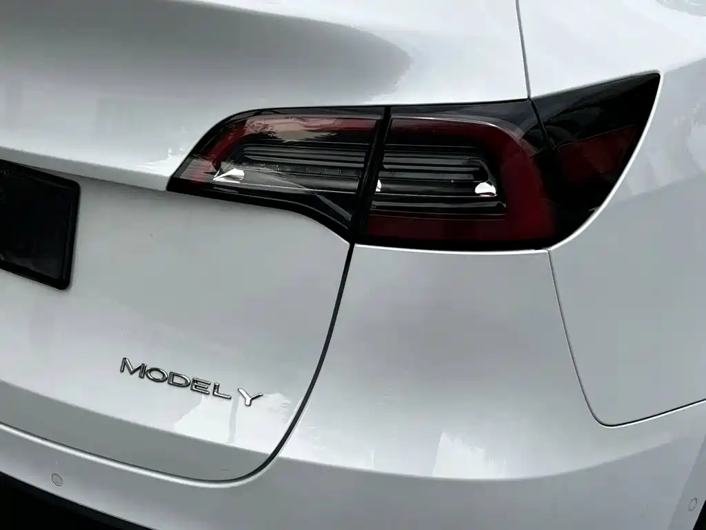 Tesla Model Y — миниатюра 15