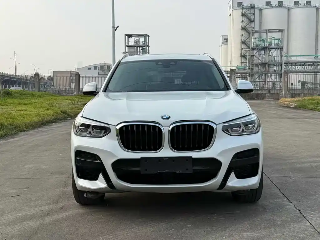 BMW X3 — миниатюра 2