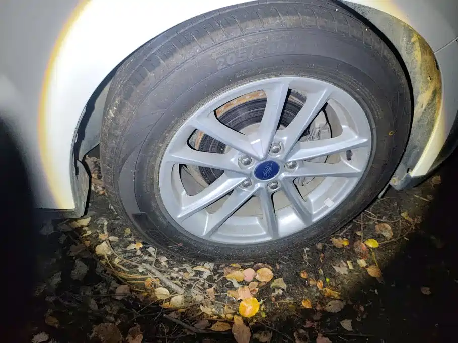 Ford Focus — миниатюра 6
