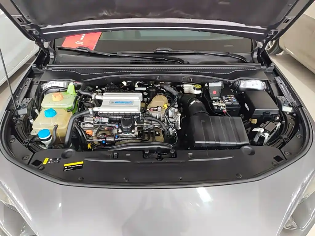 GAC Motor Shadow Leopard — миниатюра 20