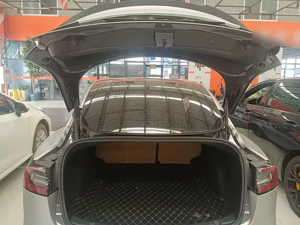 Tesla Model 3 — миниатюра 19
