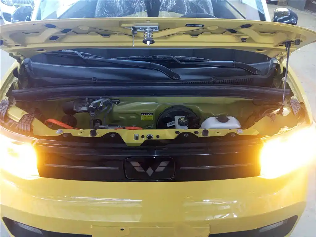 Wuling Mini EV MINIEV 2022 Premium