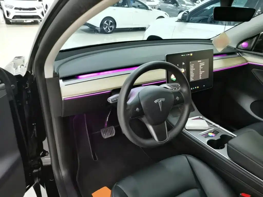 Tesla Model Y — миниатюра 10