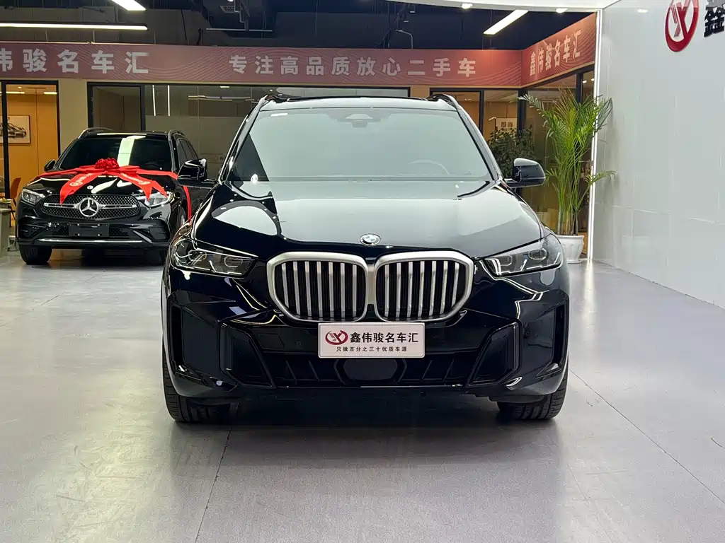 BMW X5 — миниатюра 2