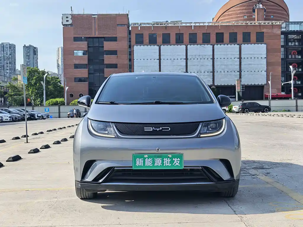 BYD Dolphin — миниатюра 2