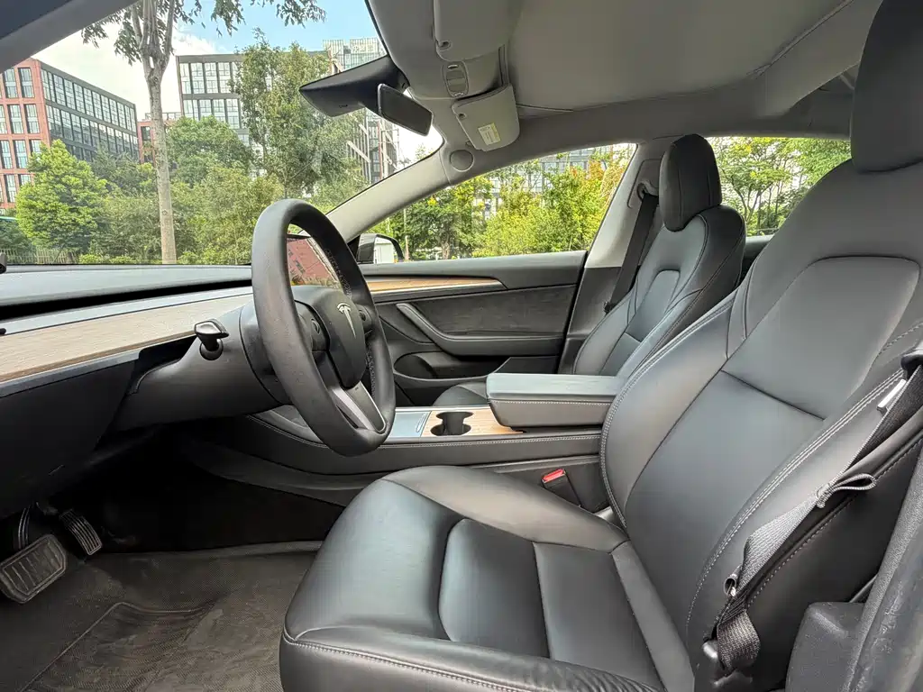 Tesla Model 3 — миниатюра 10