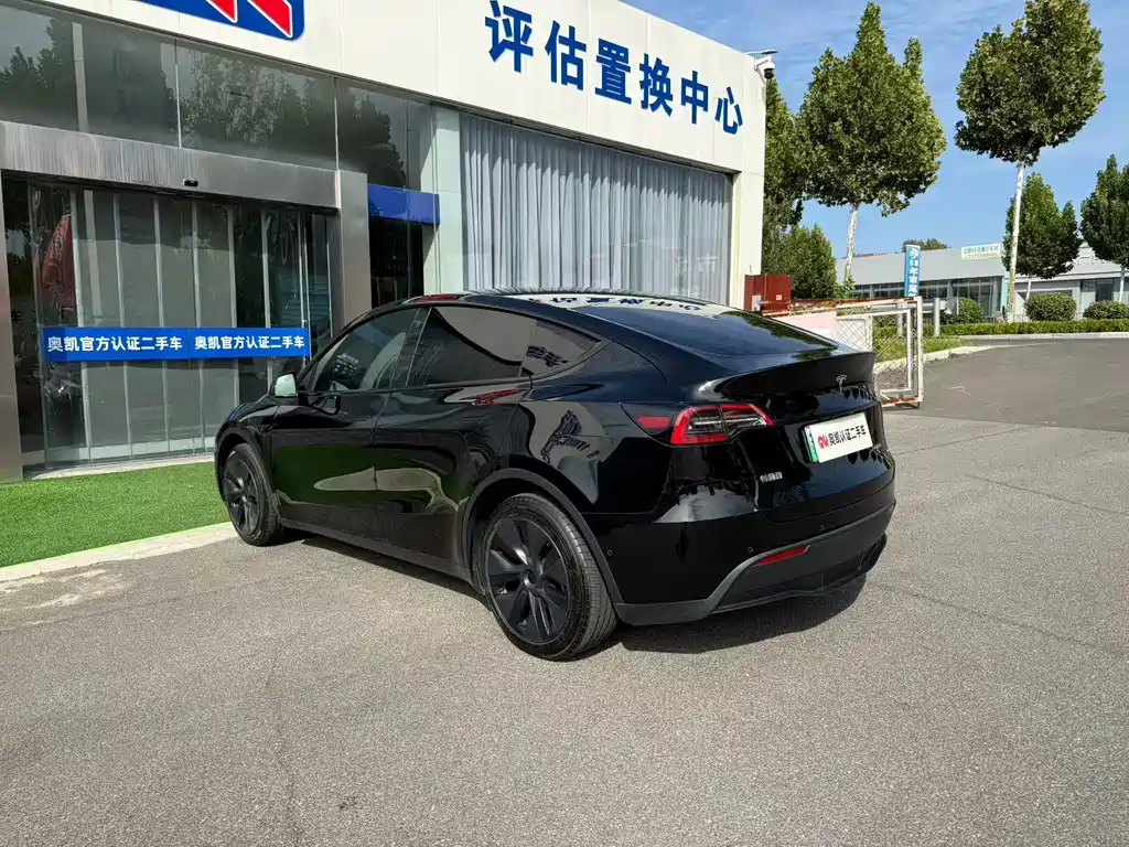 Tesla Model Y — миниатюра 8