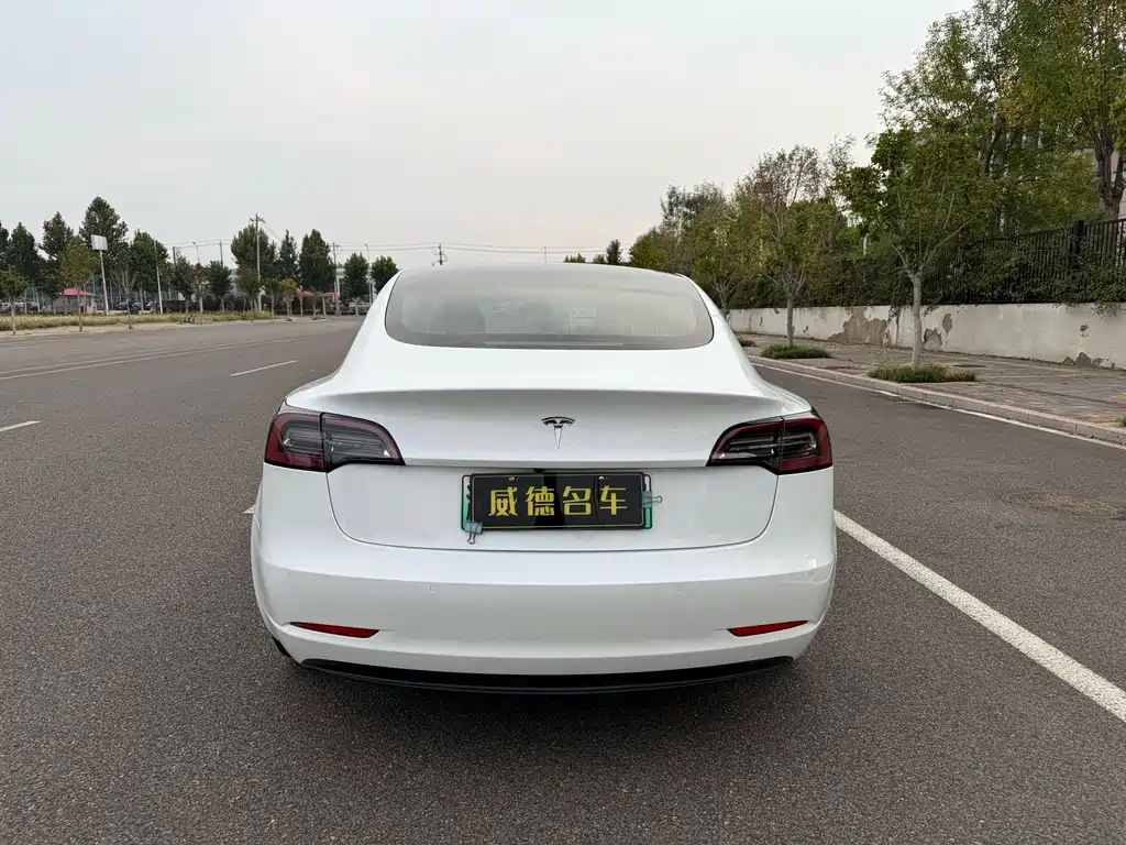 Tesla Model 3 — миниатюра 6