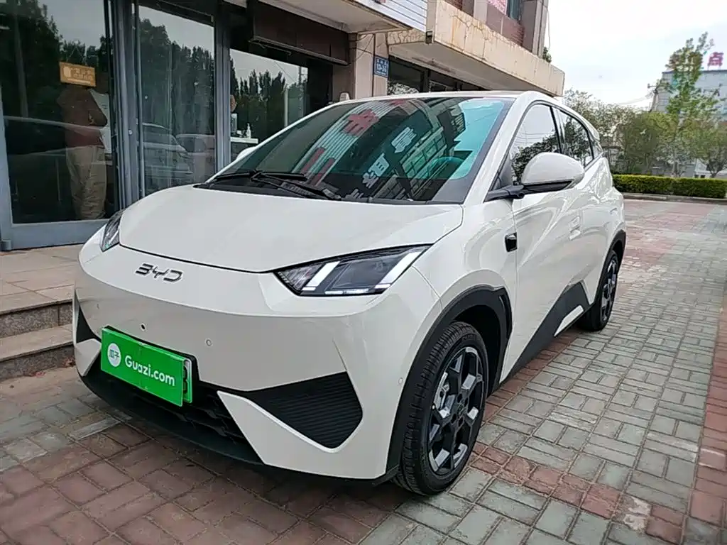 Byd Seagull 2026