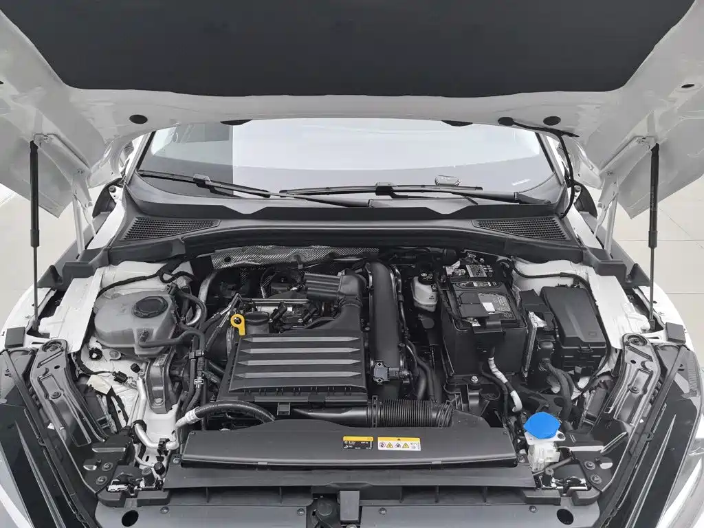 Volkswagen Lamando — миниатюра 6