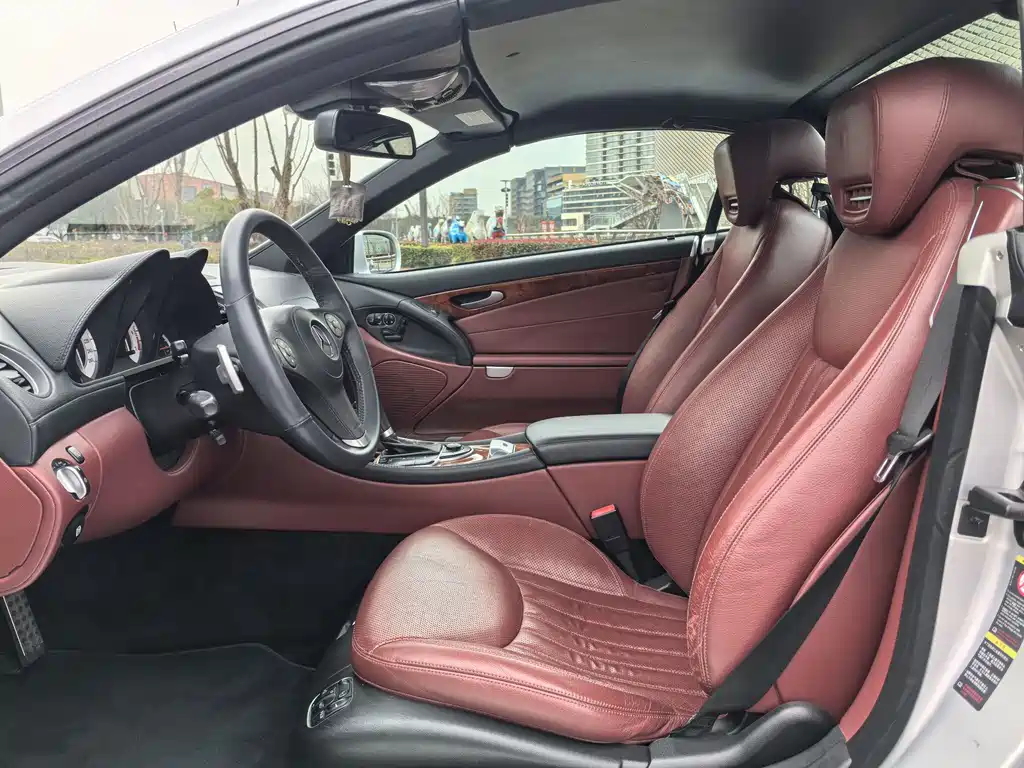 Mercedes-Benz SL 2010 SL 300