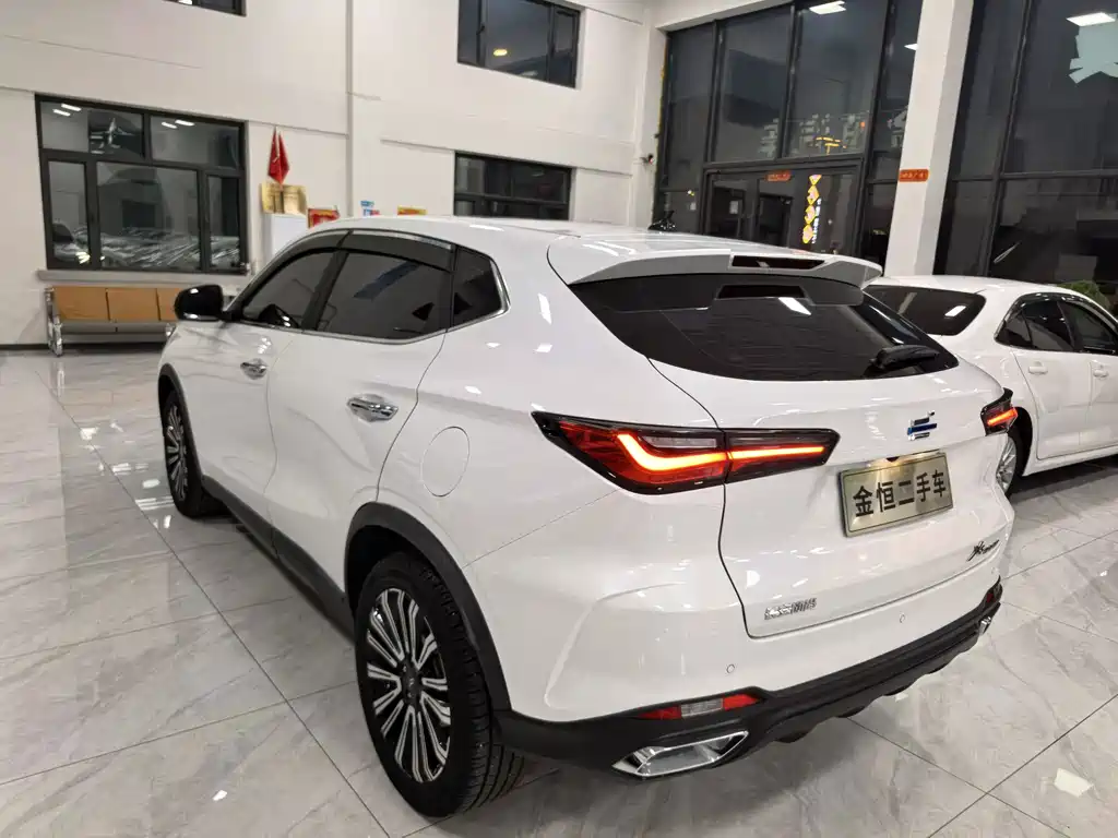Oshan Oushang X5 — миниатюра 5