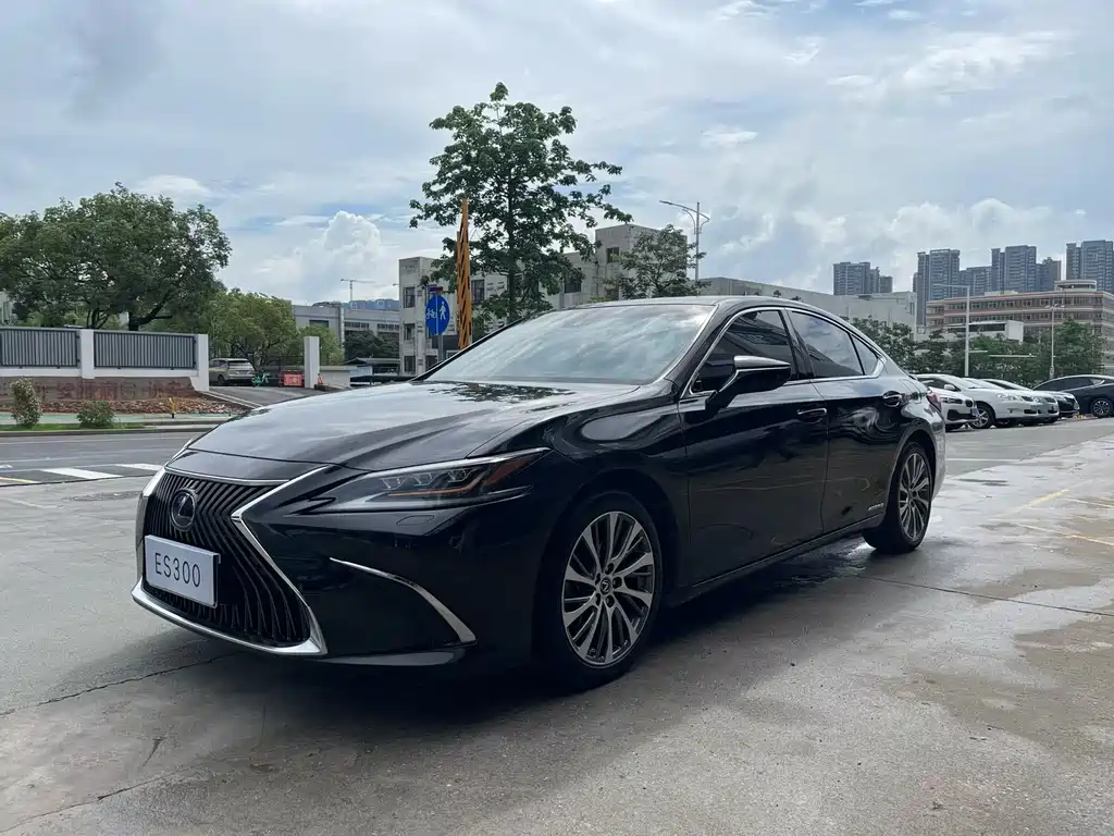 Lexus ES 2018 300h Premium Edition China V
