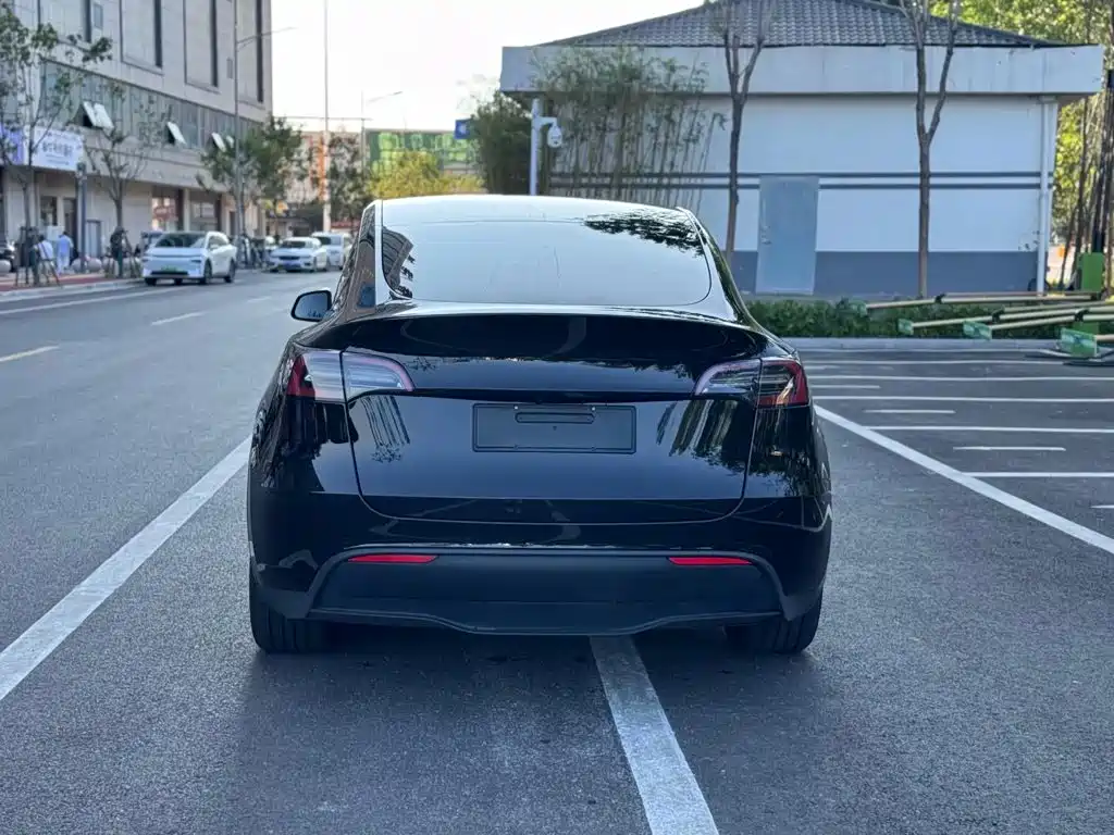 Tesla Model Y — миниатюра 5