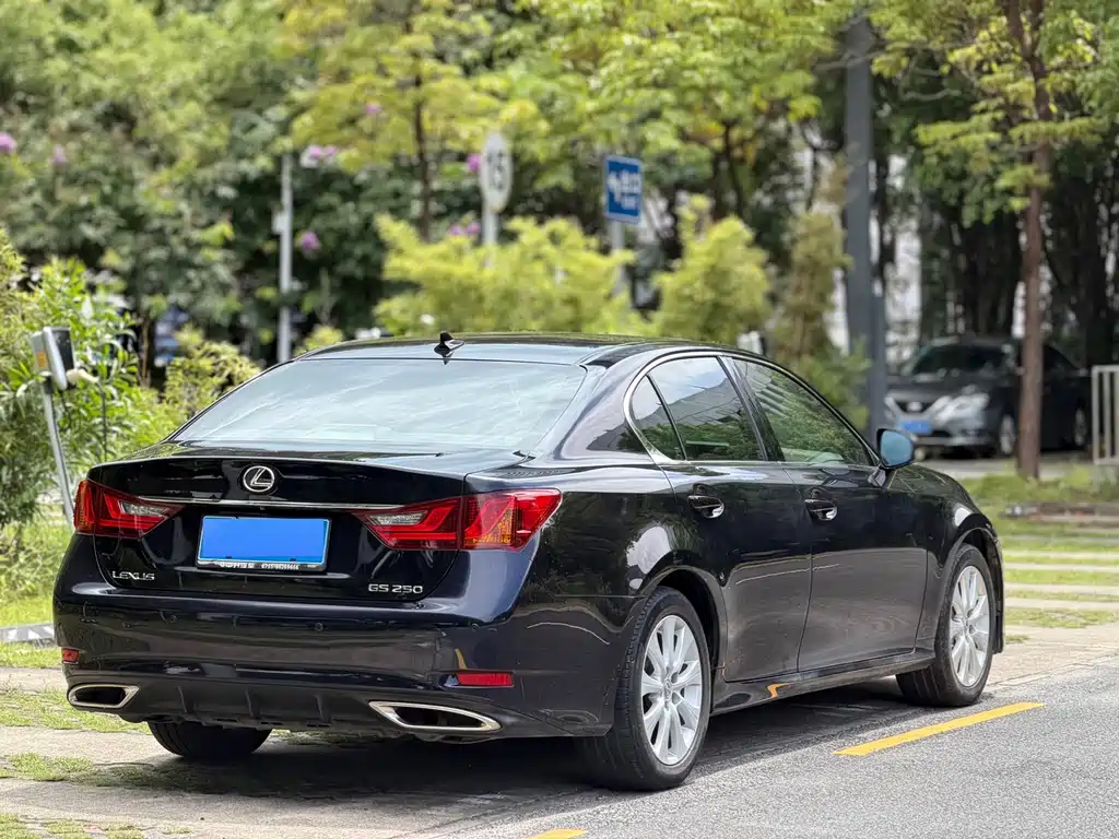 Lexus GS 250 Leading Edition, фото 11