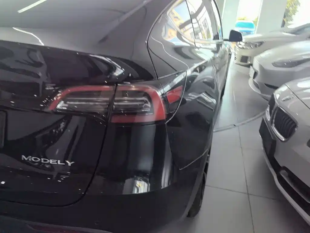 Tesla Model Y — миниатюра 8