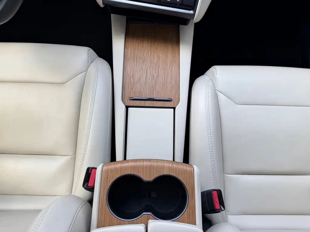 Tesla Model X — миниатюра 11