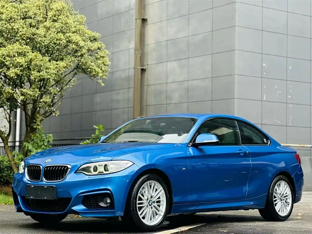 BMW 2 Series (Import) 2015