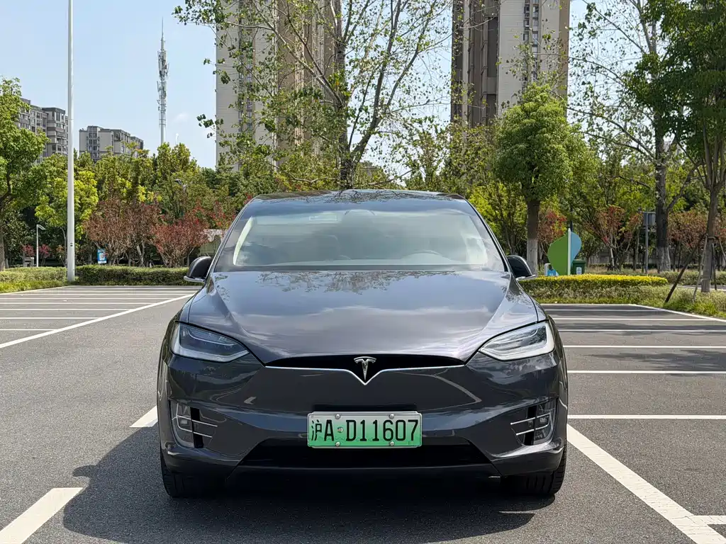 Tesla Model X — миниатюра 17
