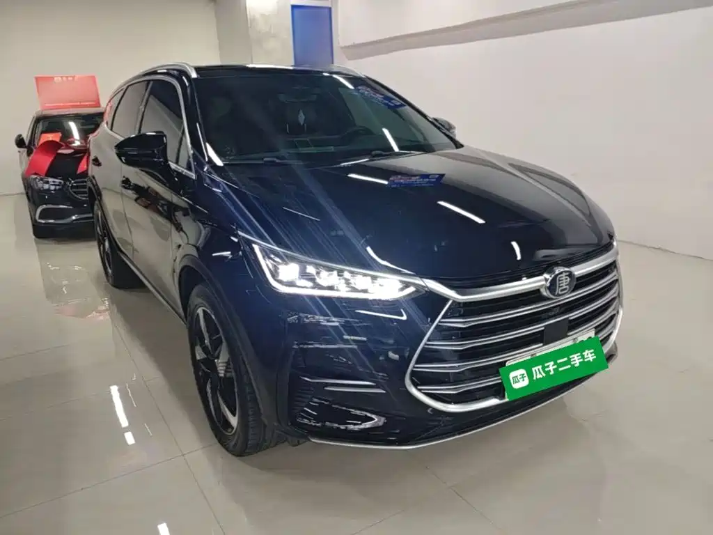BYD Tang New Energy — миниатюра 4