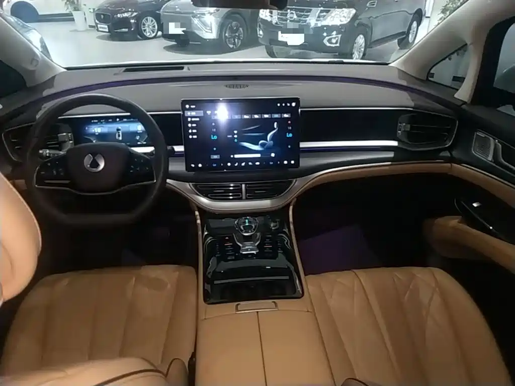 Denza Denza D9 — миниатюра 10