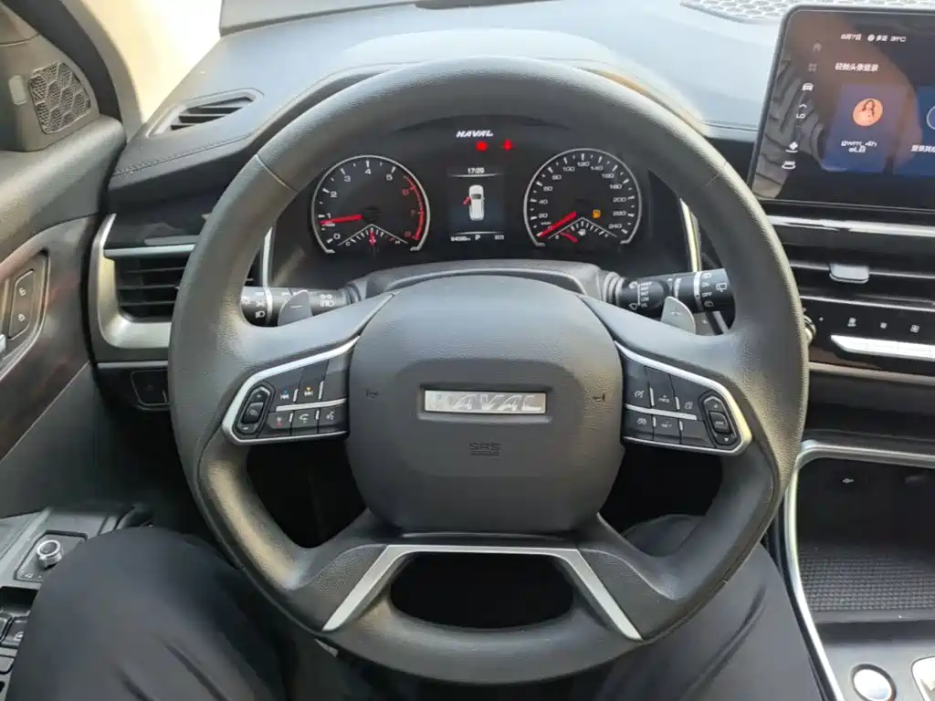 Haval H6 — миниатюра 11