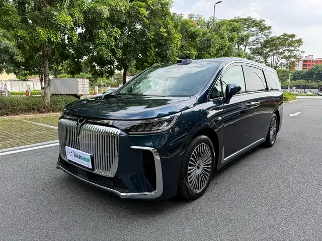 2024 Voyah Dream