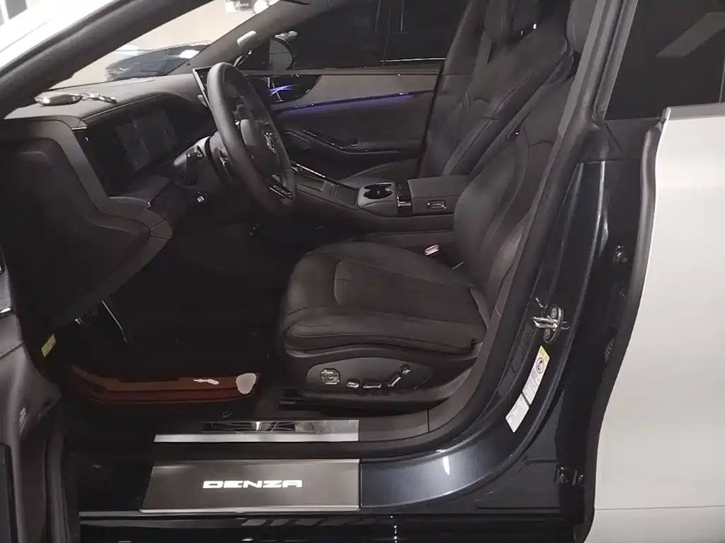 Denza Denza Z9 — миниатюра 15
